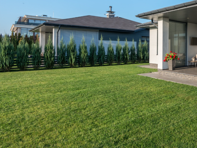 Screenshot 2026-01-21 at 12.36.10 PM