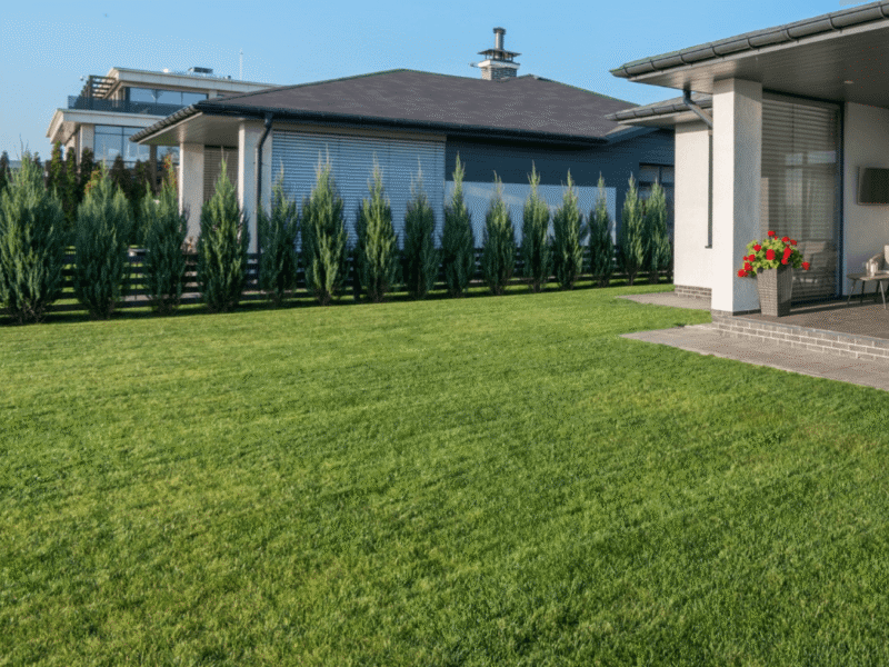 Screenshot 2026-01-21 at 12.36.10 PM