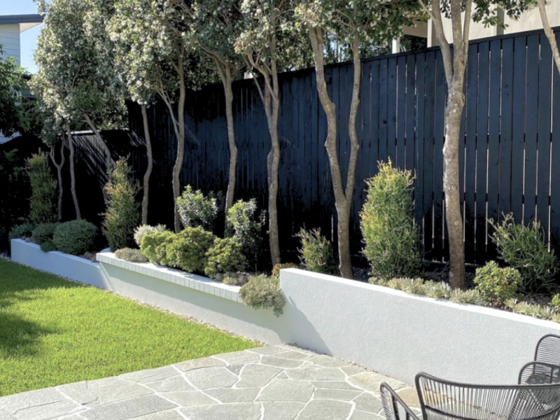 Screenshot 2026-01-24 at 12.42.48 AM