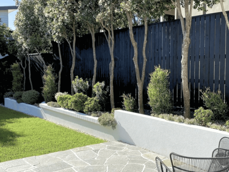 Screenshot 2026-01-24 at 12.42.48 AM